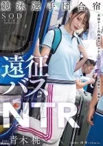 台北定點茶-青木桃：圖片 6