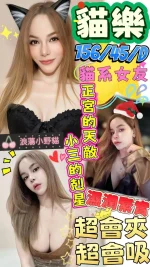 澎湖定點茶-貓樂