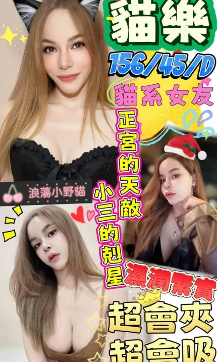 澎湖定點茶-貓樂