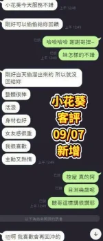 台南定點茶-小花葵：圖片 3