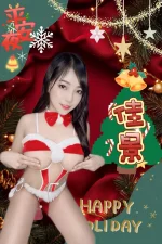 南投定點茶-佳景