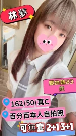 台中定點茶-林夢