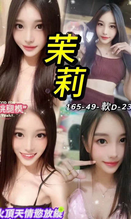 台北定點茶-茉莉