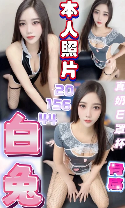 桃園定點茶-白兔