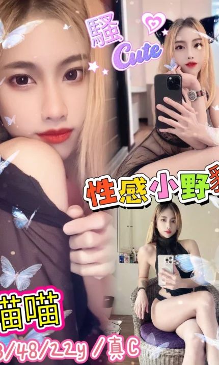 新北定點茶-喵喵