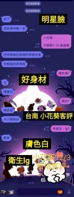 台南定點茶-小花葵：圖片 15