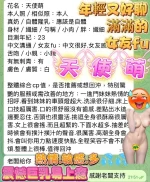 高雄定點茶-天使萌：圖片 2