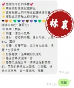 澎湖定點茶-林襄：圖片 10