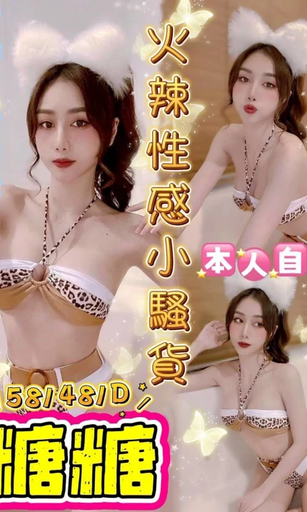 台中定點茶-糖糖