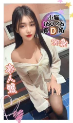 台中定點茶-小貓