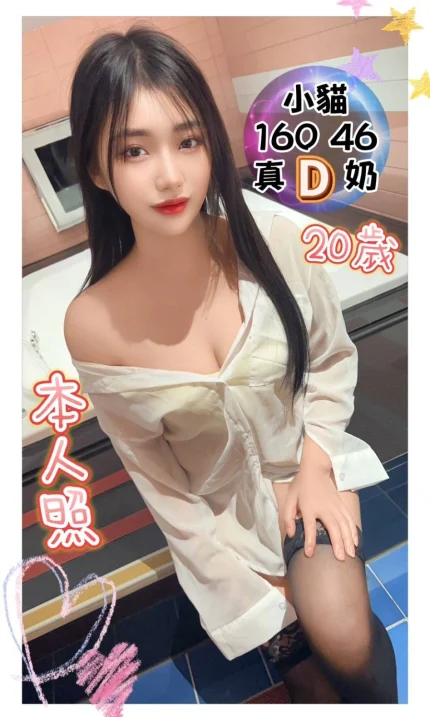 台中定點茶-小貓